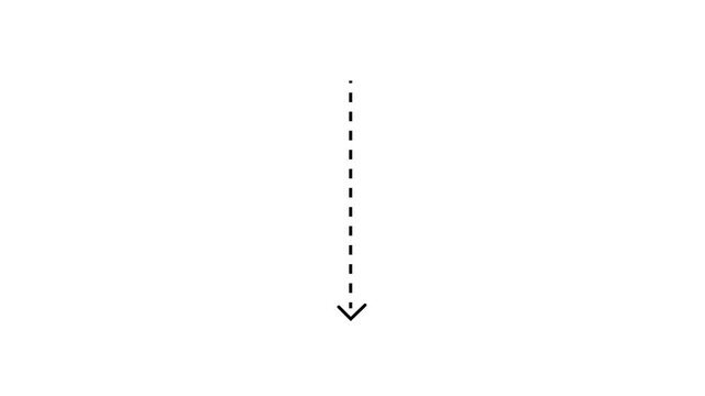 Down arrow direction icon with dotted line animation on white background. dot arrows icon sign animated with alpha channel. Black straight arrows animation. 4k Animation video on white Background