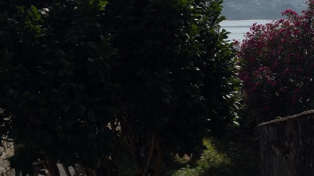 Backlit Galician Horreos on the Estuary Edge by the Water