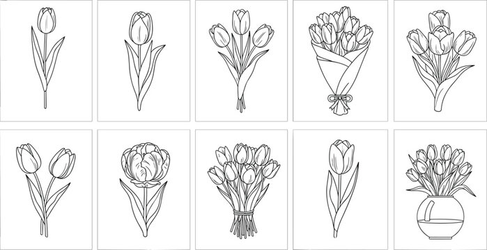 Set of Tulip Flower Line Art Illustrations Featuring Single Blooms Bouquets and Vases for Kids Coloring Pages Wedding Invitations and Minimalist Botanical Design