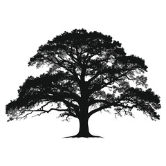 Fototapeta premium Tree silhouette, black tree, oak tree, vector tree icon