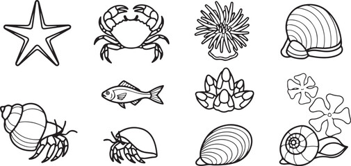 Line drawing collection of various sea creatures and ocean lifeforms Vector © Runa