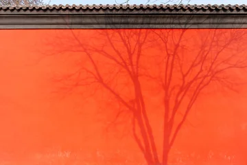 Fototapete Rot Shadows of Tree Branches Silhouetted Against a Vibrant Red Traditional Chinese Palace Wall in Bright Sunlight, Background and textured  © Kittiphan