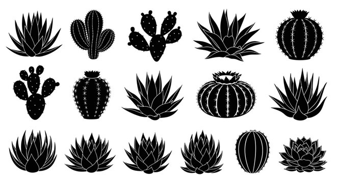 Collection of black silhouette icons representing various desert plants including cacti and succulents in a clean graphic style perfect for botanical or nature themes
