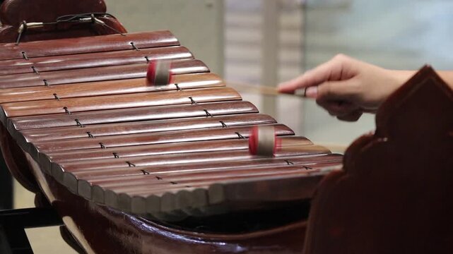 Side view of a musician playing the Ranat Ek, a traditional Thai wooden xylophone, with mallets. 