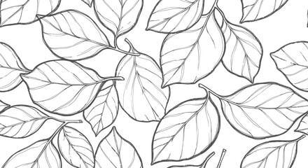 Fototapeta premium Intricate black and white line drawing of abstract organic shapes resembling leaves or petals Vector