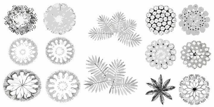 Botanical illustrations of various plants arranged in a grid pattern