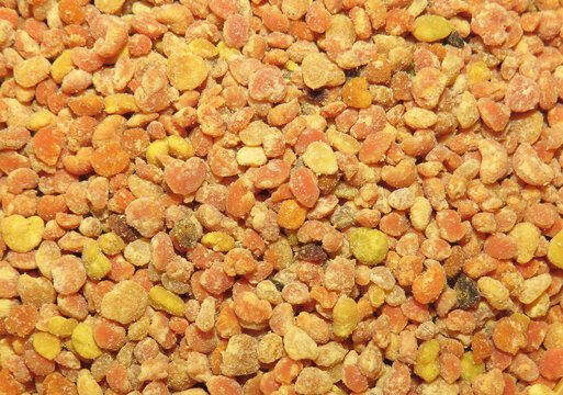 Background with raw amorpha pollen