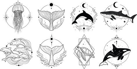 Celestial marine life collection with jellyfish whale dolphin sea turtle and whale tail in mystical moon and stars line art style for boho branding and tattoo vector illustration © Bappi