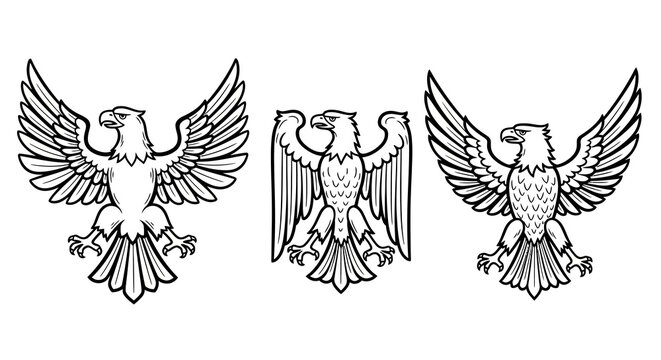 Majestic heraldic eagles in detailed black and white silhouette for vintage designs