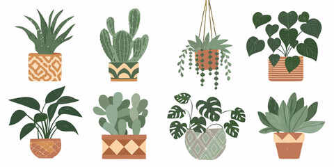 A collection of various potted and hanging indoor plants in illustration style © MituRani