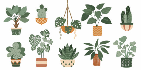 Collection of colorful potted and hanging houseplants on a white background © MituRani