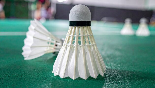 White Badminton Shuttlecock on Green Court.
