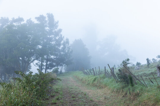 early morning fog, Swellendam, South Africa