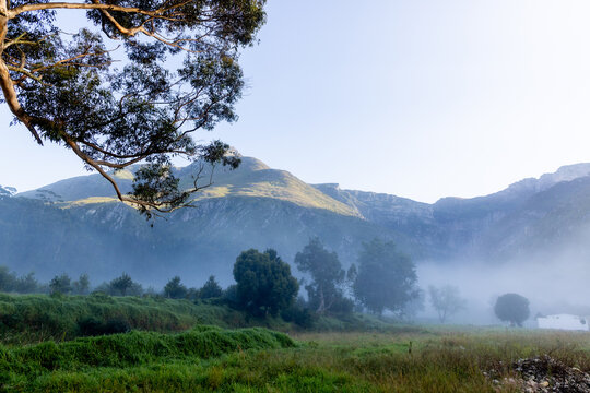 early morning fog, Swellendam, South Africa
