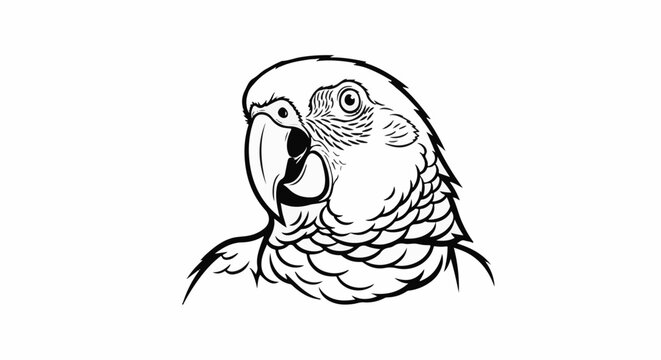 Detailed black and white sketch of a parrot's head
