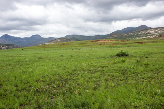 View over the Afro alpine grassland of the Golden Gate Highlands National Park, in the Drakensberg Mountains, South Africa, with a storm gathering over the distant mountain peaks in the background