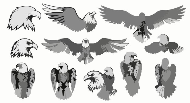 Eagle vector template collection in black and white with detailed feather designs for cutting and printing isolated on white