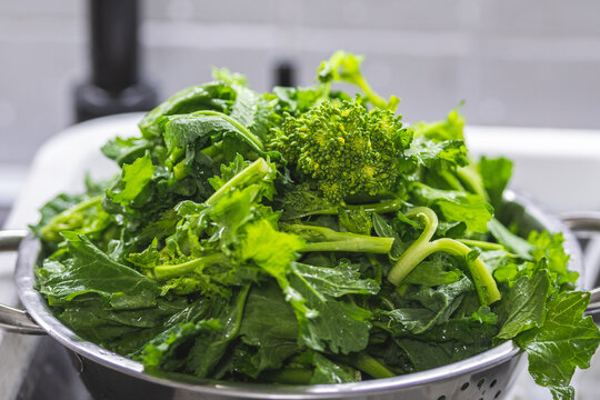 Washing cime di rapa, turnip greens, rapini or broccoli rabe in a bowl
