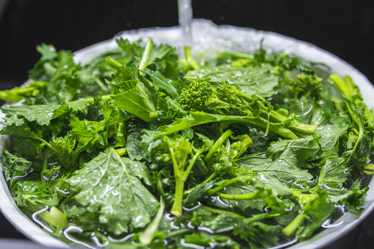 Washing cime di rapa, turnip greens, rapini or broccoli rabe in a bowl