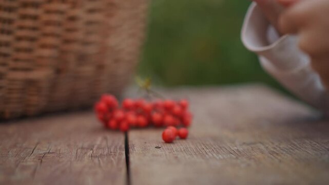 Handheld scissors and thread spool on wooden table, child prepares berry garland, careful fingers loop thread through bright red rowan berries, wicker basket background, soft outdoor light, intimate