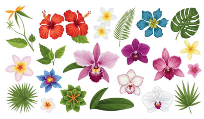 Tropical flowers vector collection hibiscus orchid floral isolated set © Boloram