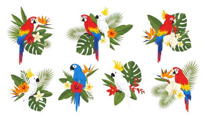 Obraz premium Tropical birds floral vector illustration invitation poster decoration set