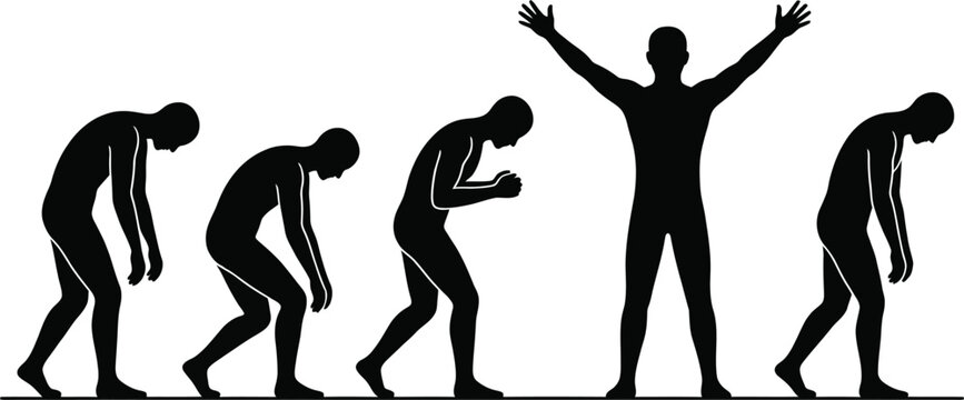Evolutionary progression of human ancestors from early bipedal forms to modern humans Vector