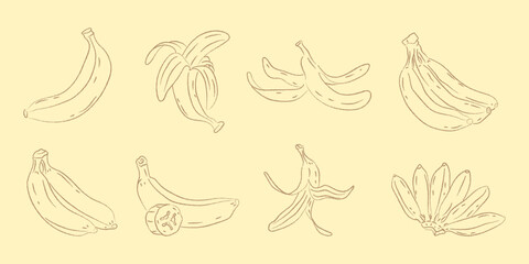 Obraz premium Hand Drawn Banana Illustration Set featuring Peeled, Sliced, and Bunches of Bananas in Line Art Style