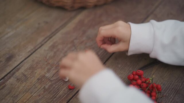 Child hands stringing red rowan berries, spool of orange thread, vintage scissors on weathered wooden table, basket edge visible, gentle warm light, slow careful movements for DIY garland, nostalgic