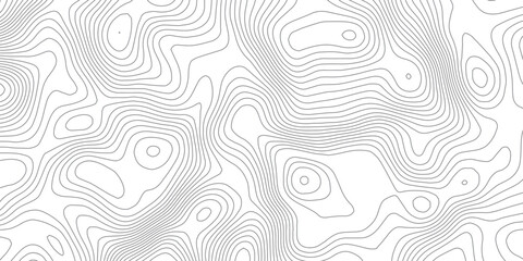 Fototapeta premium Abstract Monochrome Topographic Map Background with Detailed Contour Lines, Elevation Curves and Organic Terrain Shapes for Modern Minimal Design.