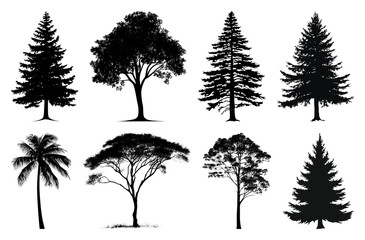 Fototapeta premium PNG Silhouettes of diverse tree species on transparent background