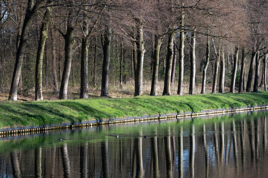 Tree reflections in canal water Lommel