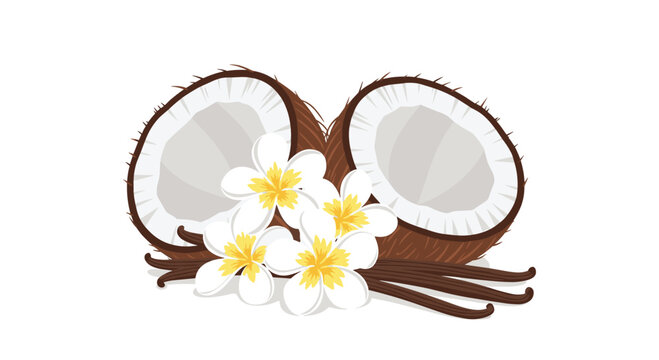 Two textured brown coconut halves are elegantly paired with pristine white plumeria blossoms and dark vanilla bean pods against a clean and minimalist white backdrop.