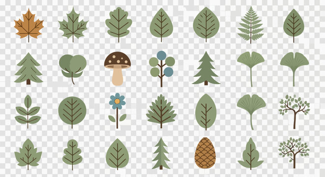 Collection of various leaf types.