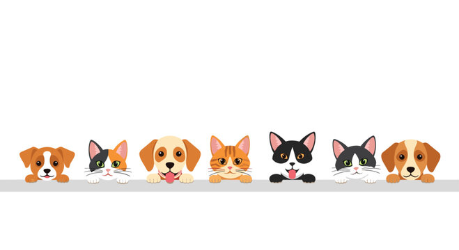 A group of charming puppies and kittens with wide expressive eyes are peeking over a solid gray horizontal ledge against a clean white background space.