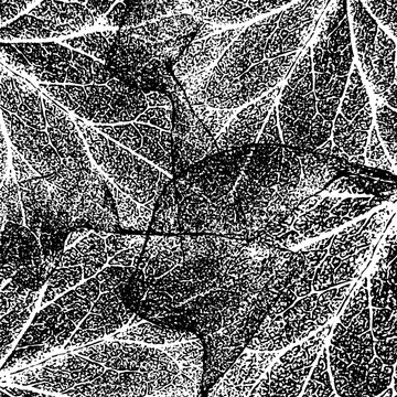 A macro, high-contrast black and white vector or photographic texture featuring an intricate network of leaf veins. The overlapping, skeletonized leaf patterns create a complex, grungy effect.
