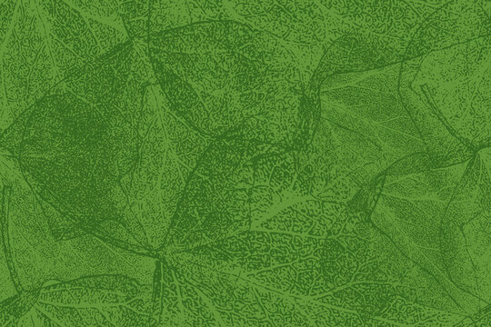 A lush, green seamless vector pattern showcasing an intricate network of leaf veins and skeletal foliage. The overlapping leaf structures create a rich, organic texture with a hand-drawn or etched app