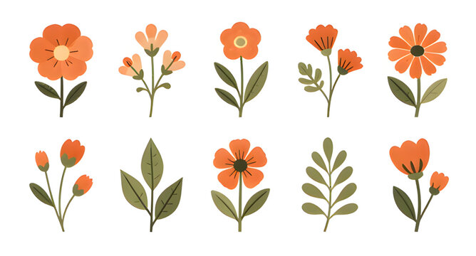 flower vector, floral design, leaf vector, botanical illustration, plant design, nature element, blooming flower, petal design, leafy branch, foliage design, garden plant, decorative floral, floral el