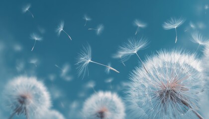 Obraz premium Close-Up View Of Dandelion With Parachutes Floating In The Air With Clear Blue Sky Background: A Detailed Observation.