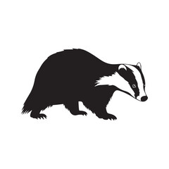 European Badger Silhouette Vector Illustration © Yasir