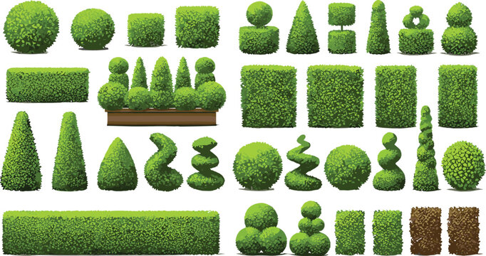 Set of Green Garden Hedge and Topiary Shapes Including Bushes, Trees, and Decorative Plants for Landscape and Nature Design Themes