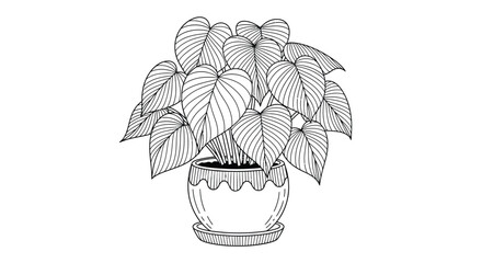 A detailed black and white illustration of a potted philodendron plant with heart shaped leaves © MDGOLAM