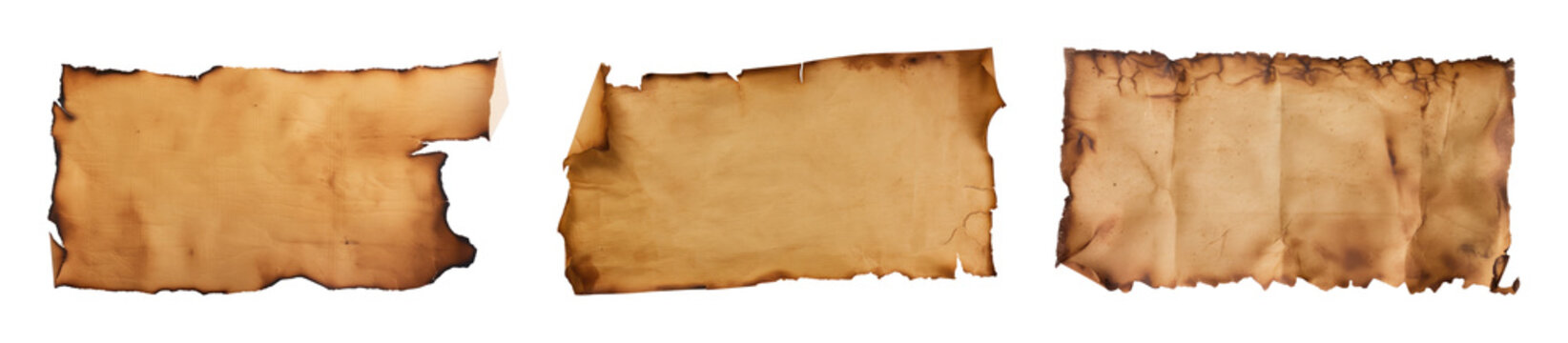 PNG Vintage parchment paper textures on transparent background