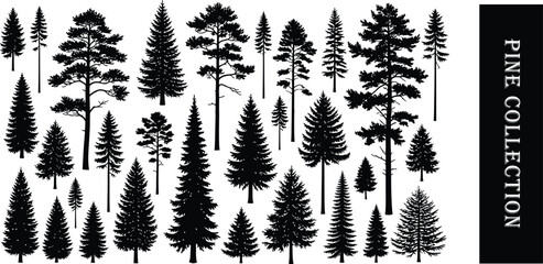 Fototapeta premium Forest silhouette a dense collection of trees in black and white