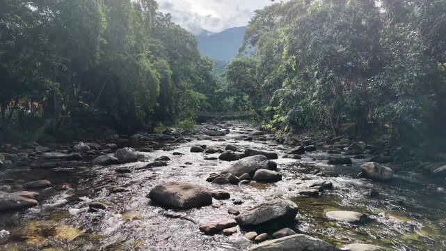 Waterfalls in Rio de Janeiro Brazil | Cachoeiras de Paraty RJ 🇧🇷