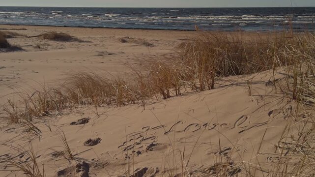Gentle coastal scene. Serene seaside landscape in motion. Peaceful dunes with drifting grasses and waves
