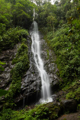 Obraz premium Natural waterfall flowing down rocky terrain surrounded by dense green vegetation in a peaceful environment.