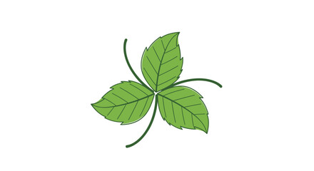 Fototapeta premium A vibrant hand drawn illustration depicts a three leaf clover against a clean white background