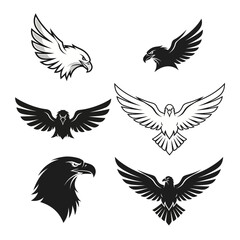 Fototapeta premium Collection of Powerful Eagle Illustrations for Emblems and Logos
