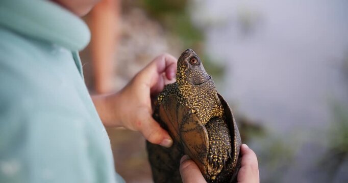 Child holding turtle near water